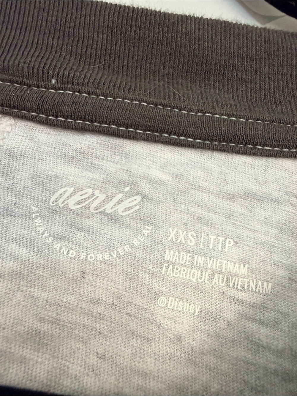 🌿2/$25 • Aerie Mickey Mouse Crew Oversized Boyfriend T-Shirt - Picture 6 of 6